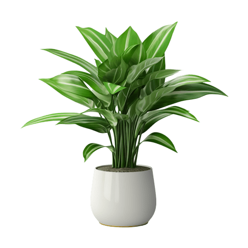 Botanica Nova